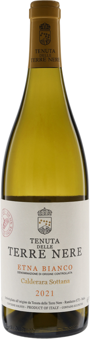 Etna Bianco DOC Calderara Sottana 2021 Terre Nere