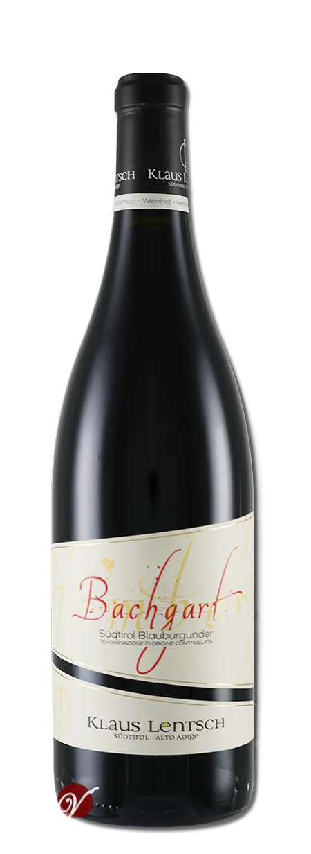 Blauburgunder Bachgart Südtirol DOC Lentsch