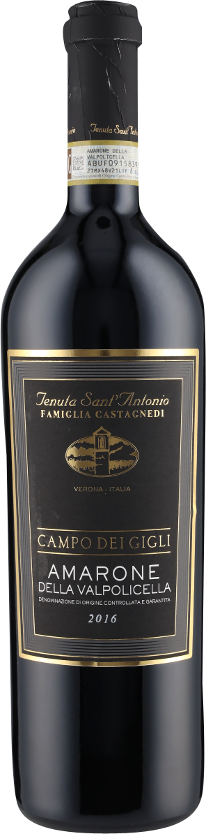 Amarone della Valp. Campo dei Gigli DOCG 2016 Sant Antonio