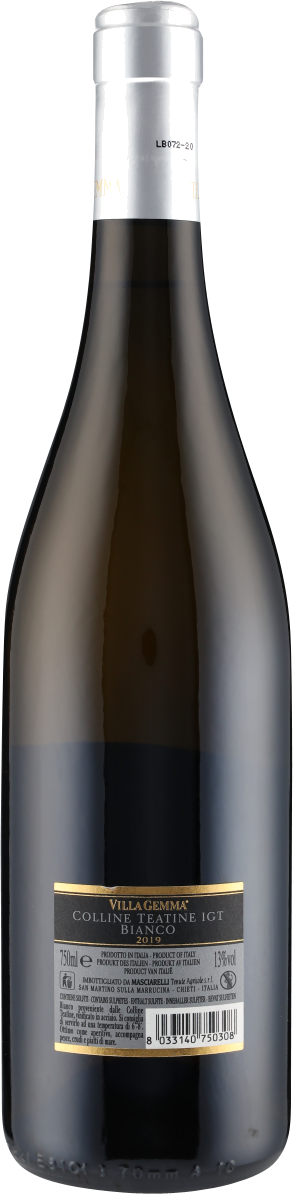 Bianco Colline Teatine IGT Villa Gemma 2019 Masciarelli