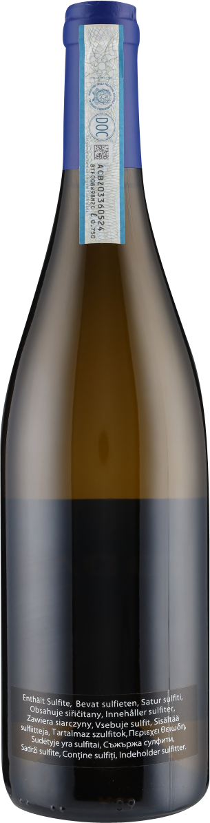 Idda Etna Bianco DOP 2021 Angelo Gaja