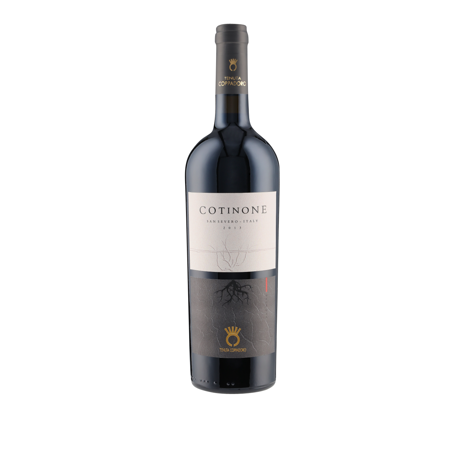Cotinone Puglia IGP 2013 Coppadoro