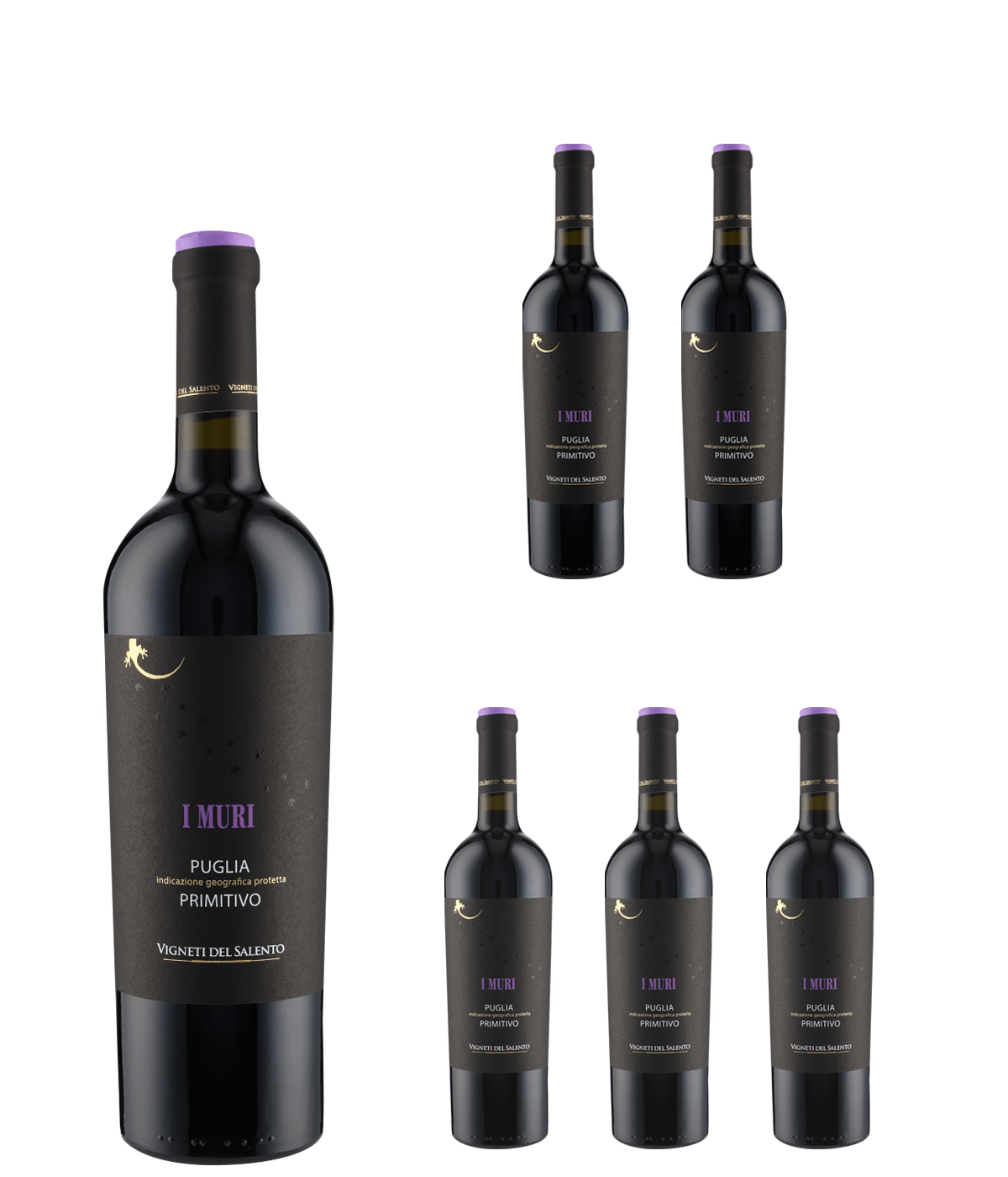 Primitivo Puglia I Muri IGP 2022 (6 Fl x 0.75 L) V.Salento