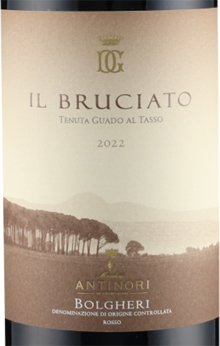 Il Bruciato Bolgheri DOC 2022 Antinori