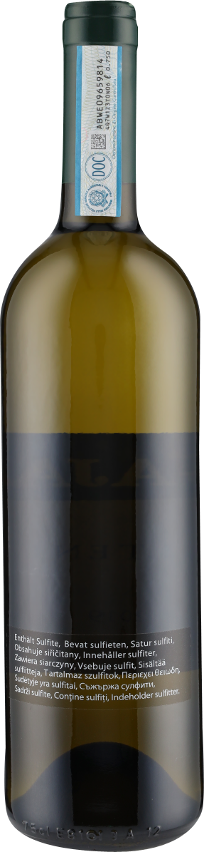 Alteni di Brassica Langhe DOC 2019 Angelo Gaja